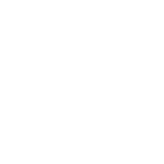 Icon Globe with lines